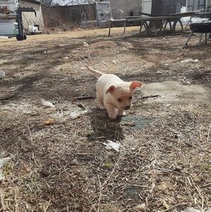 Meet your Posher, Brittney